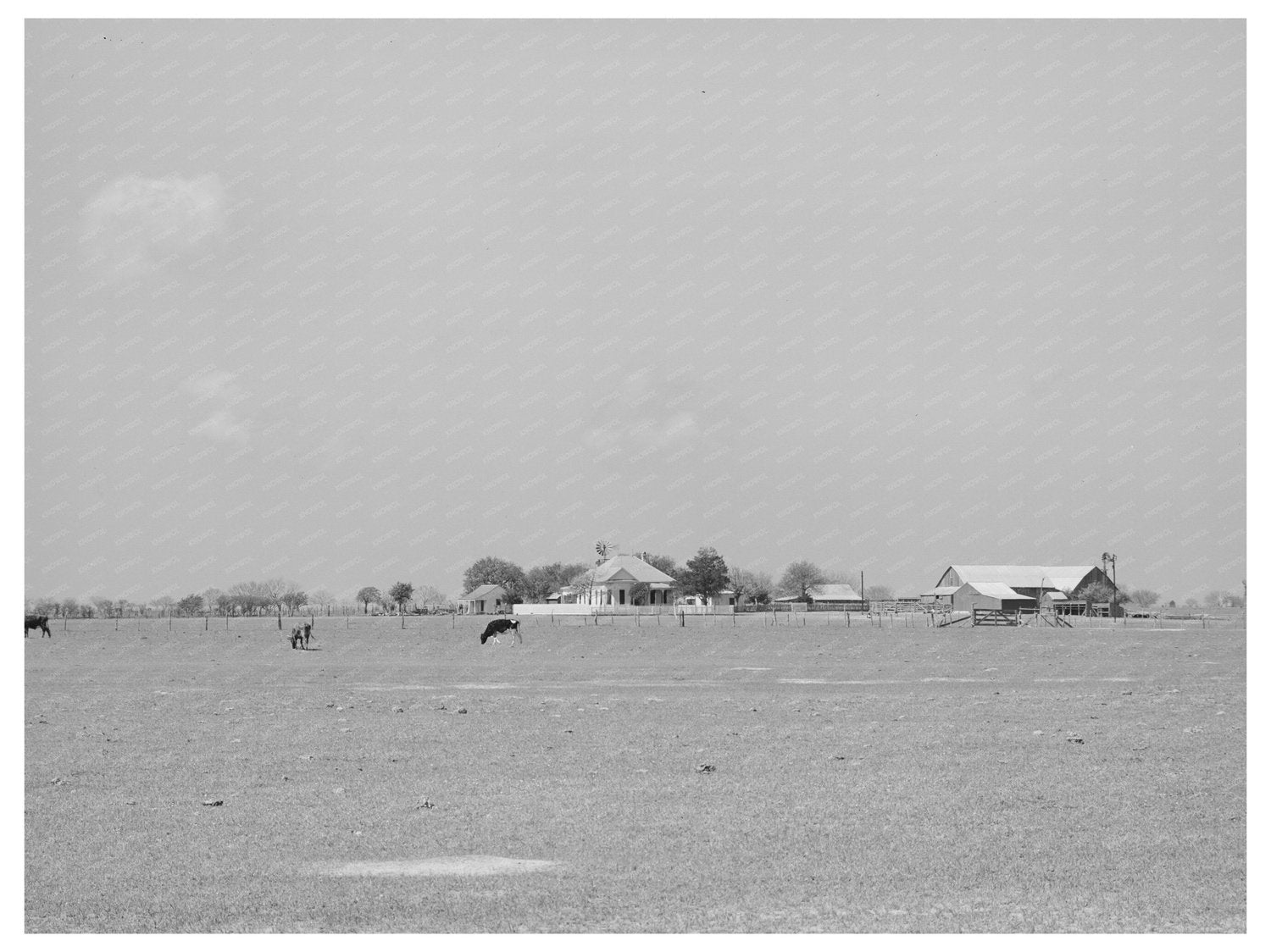 Farmstead in Refugio County Texas March 1940