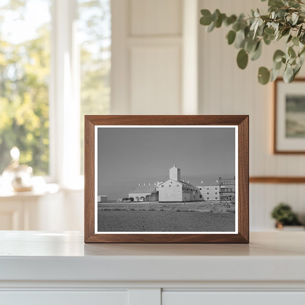 1940 Cotton Gin in Nueces County Texas Agricultural History