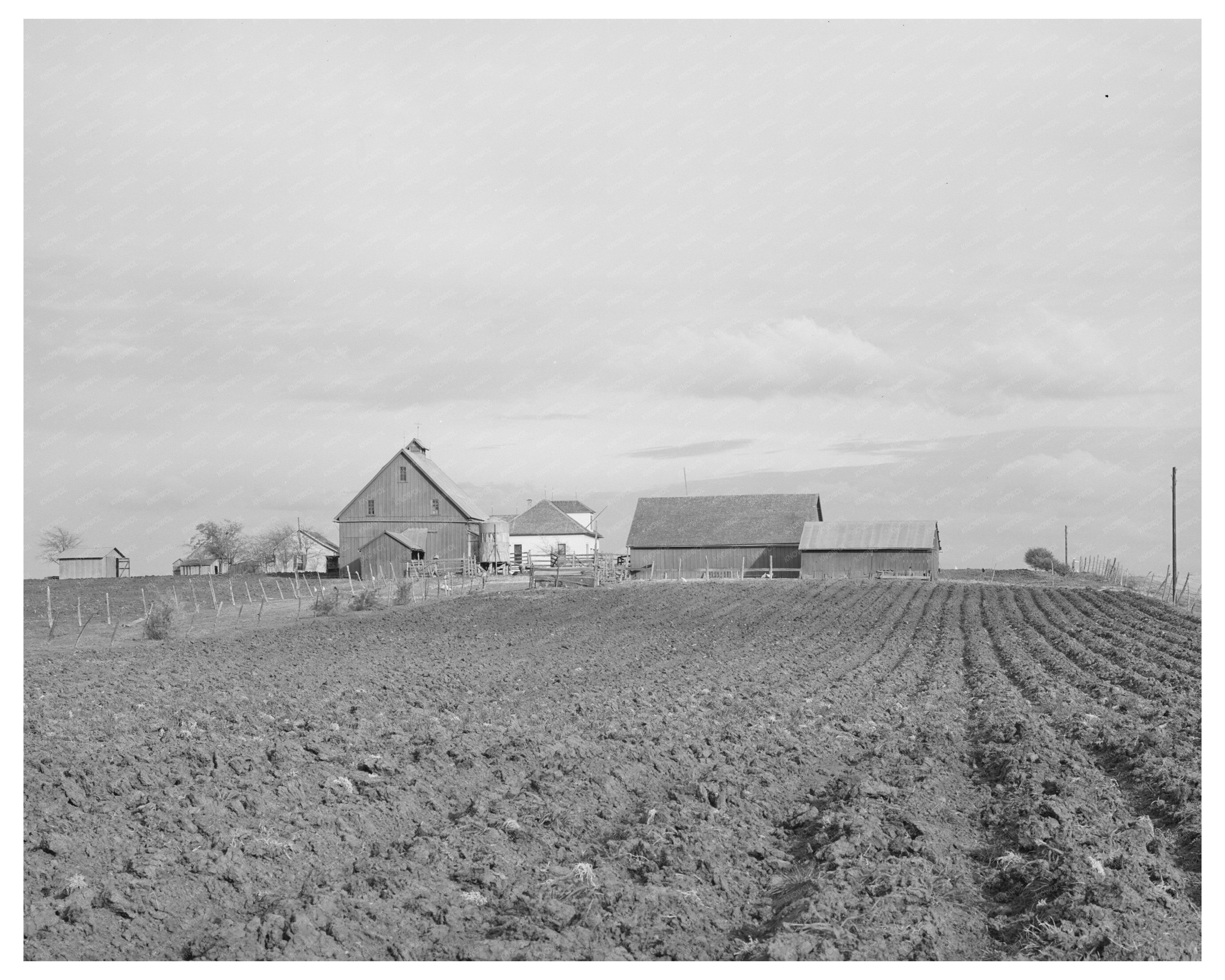 Plowed Land and Farmhouse in Travis County Texas 1940