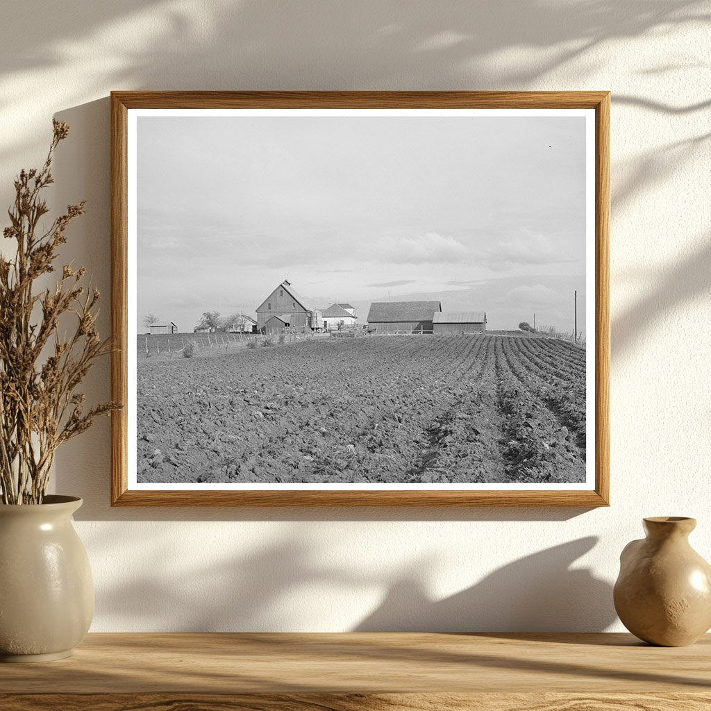 Plowed Land and Farmhouse in Travis County Texas 1940