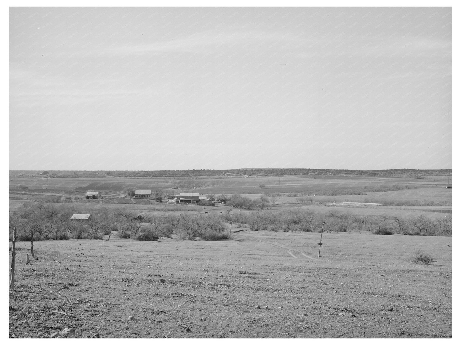 Williamson County Texas Rural Scene March 1940