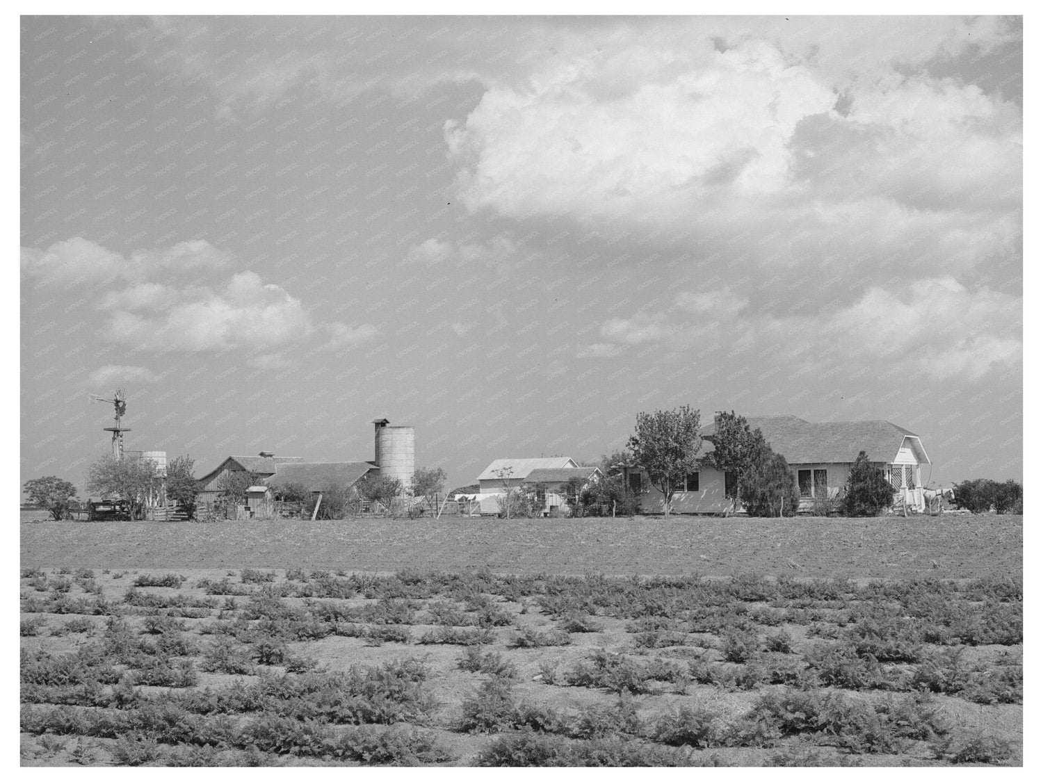 Farmstead in Travis County Texas March 1940 Photo