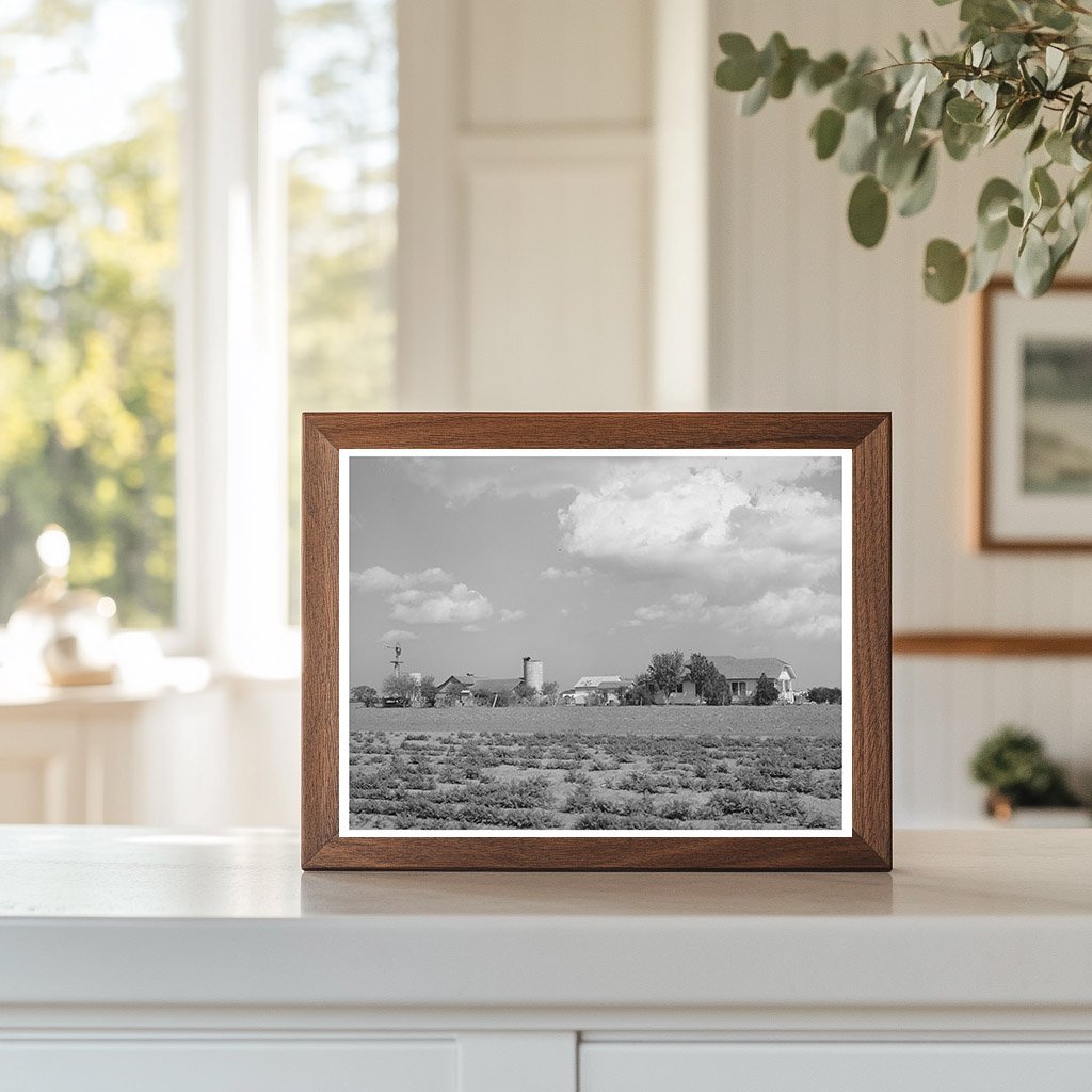 Farmstead in Travis County Texas March 1940 Photo