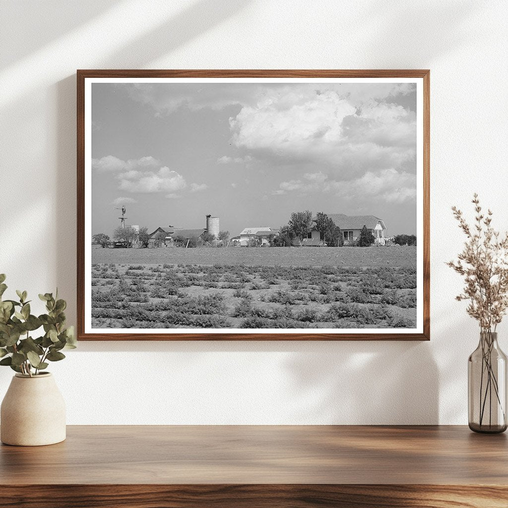 Farmstead in Travis County Texas March 1940 Photo