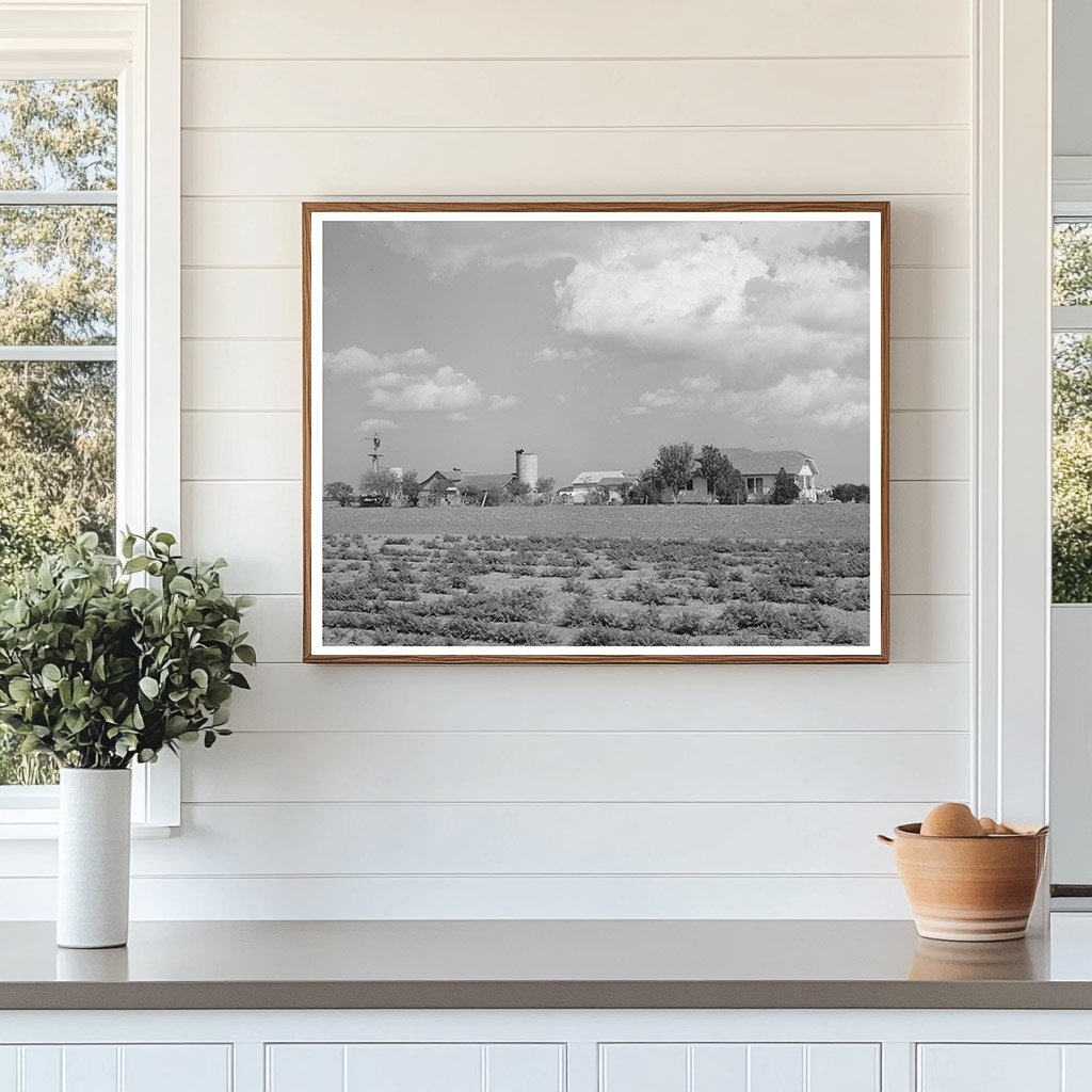 Farmstead in Travis County Texas March 1940 Photo