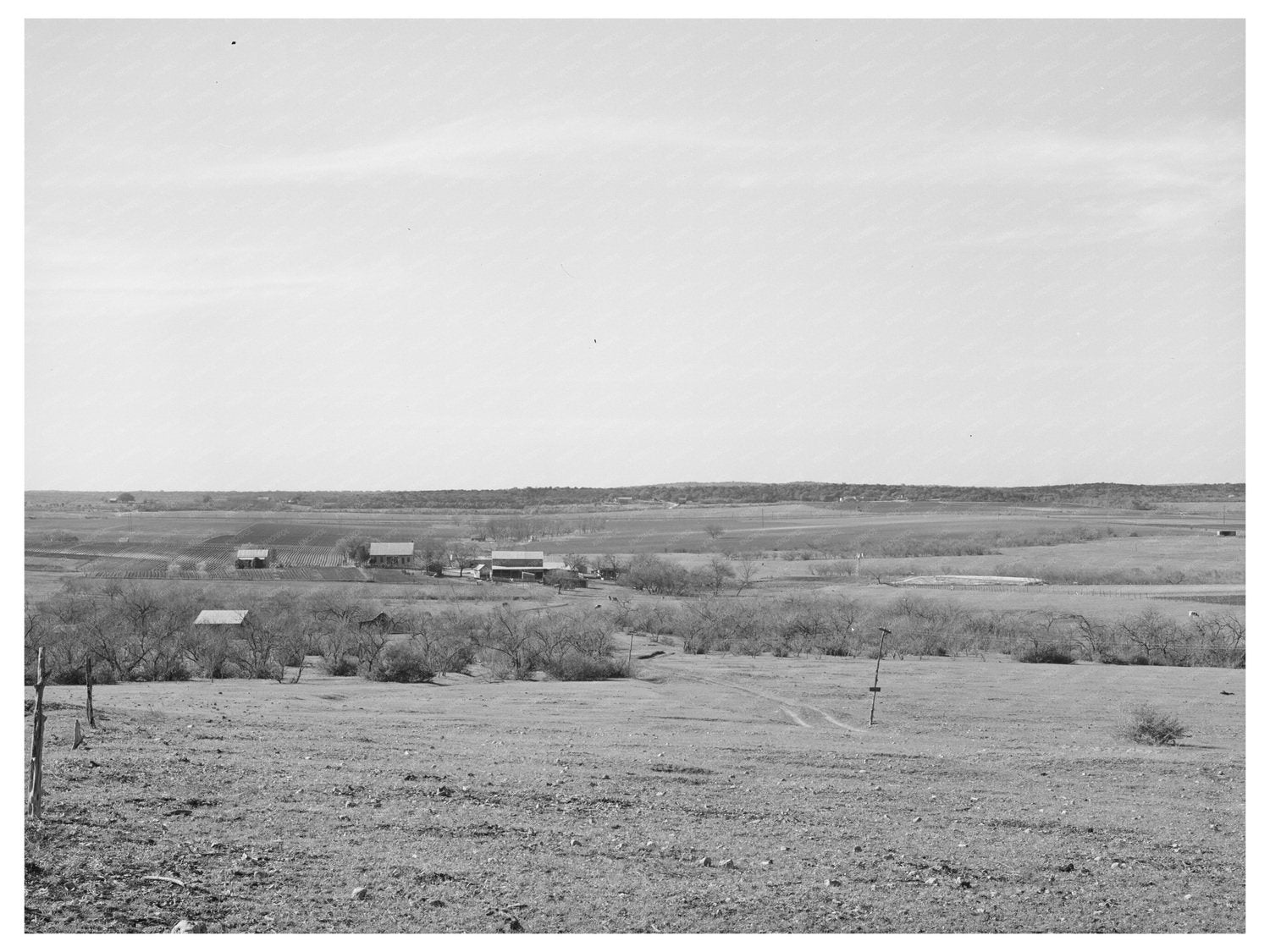 Vintage 1940 Scene from Williamson County Texas