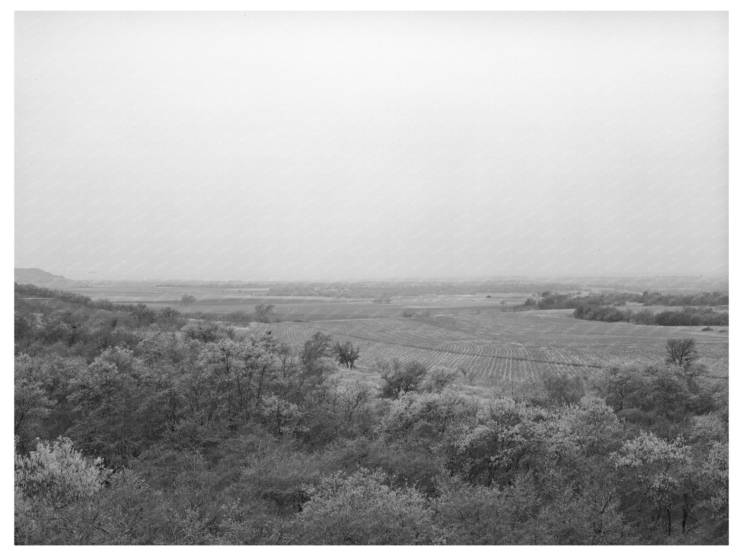 Mills County Texas Vintage Photograph March 1940