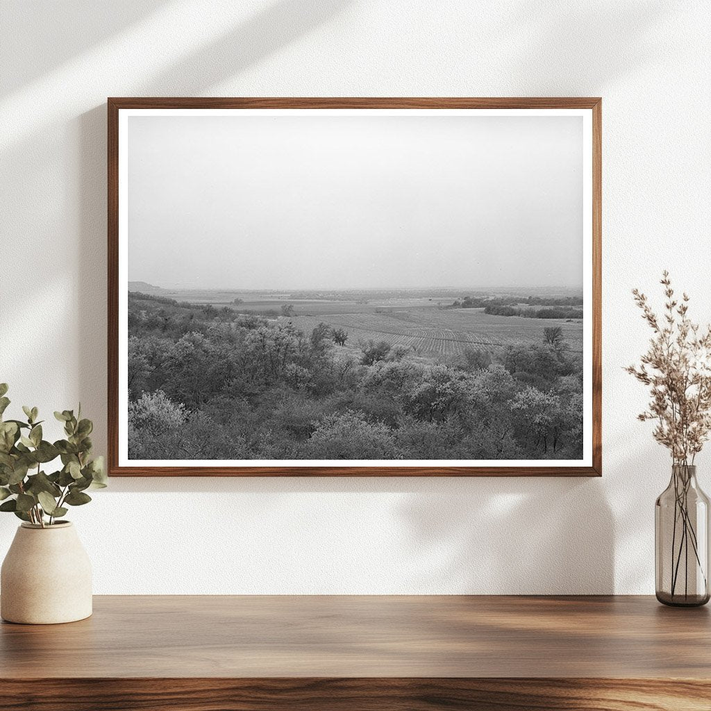 Mills County Texas Vintage Photograph March 1940