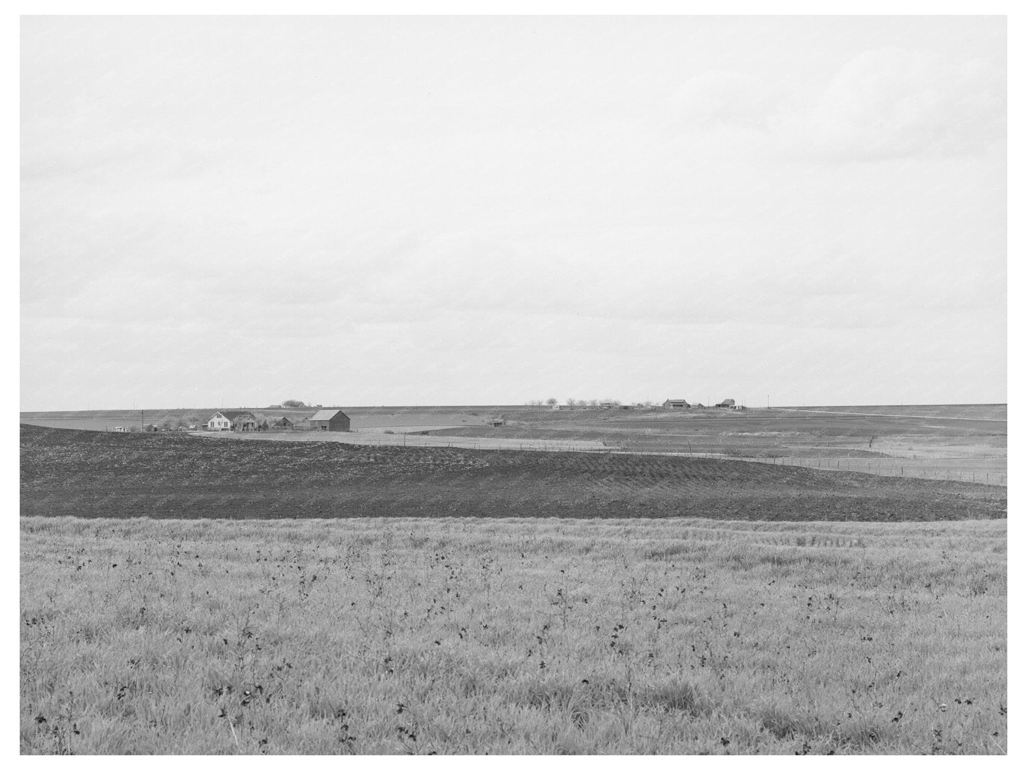 Williamson County Texas Farmland March 1940 Photo