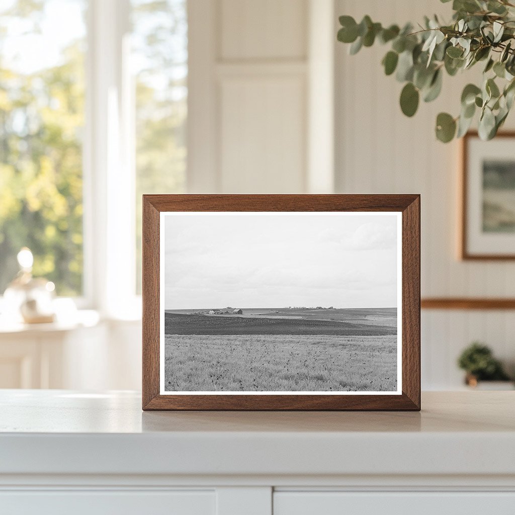 Williamson County Texas Farmland March 1940 Vintage Image