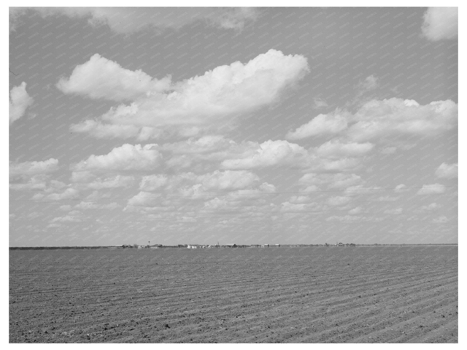 San Patricio County Texas Coastal Plains March 1940 Photo