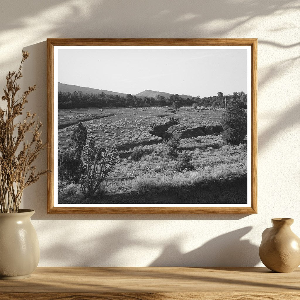 Overgrazed Pasture Effects in New Mexico April 1940
