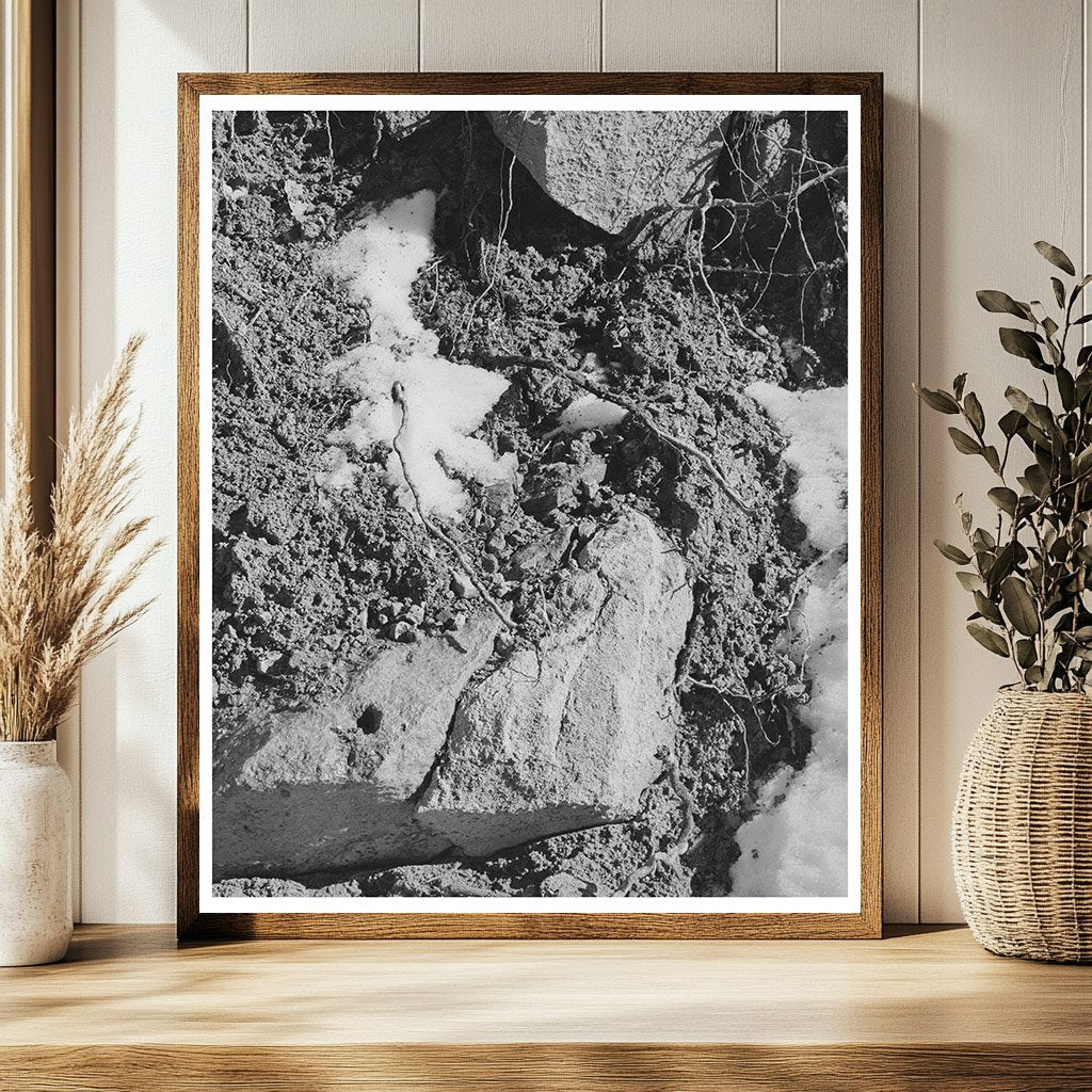 Snowmelt in Bernalillo County New Mexico April 1940