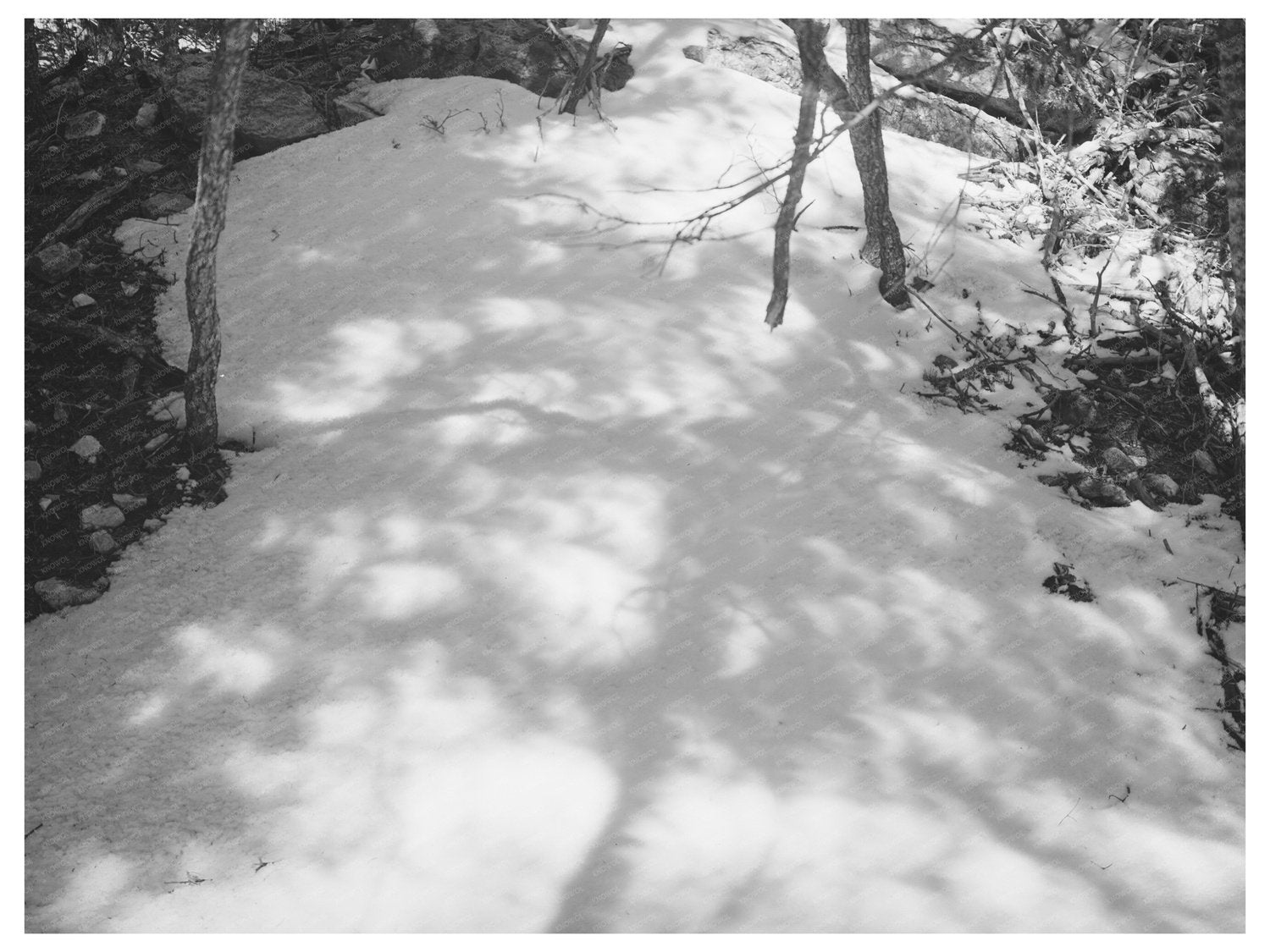 Eclipse Light and Shadow on Snow New Mexico April 1940