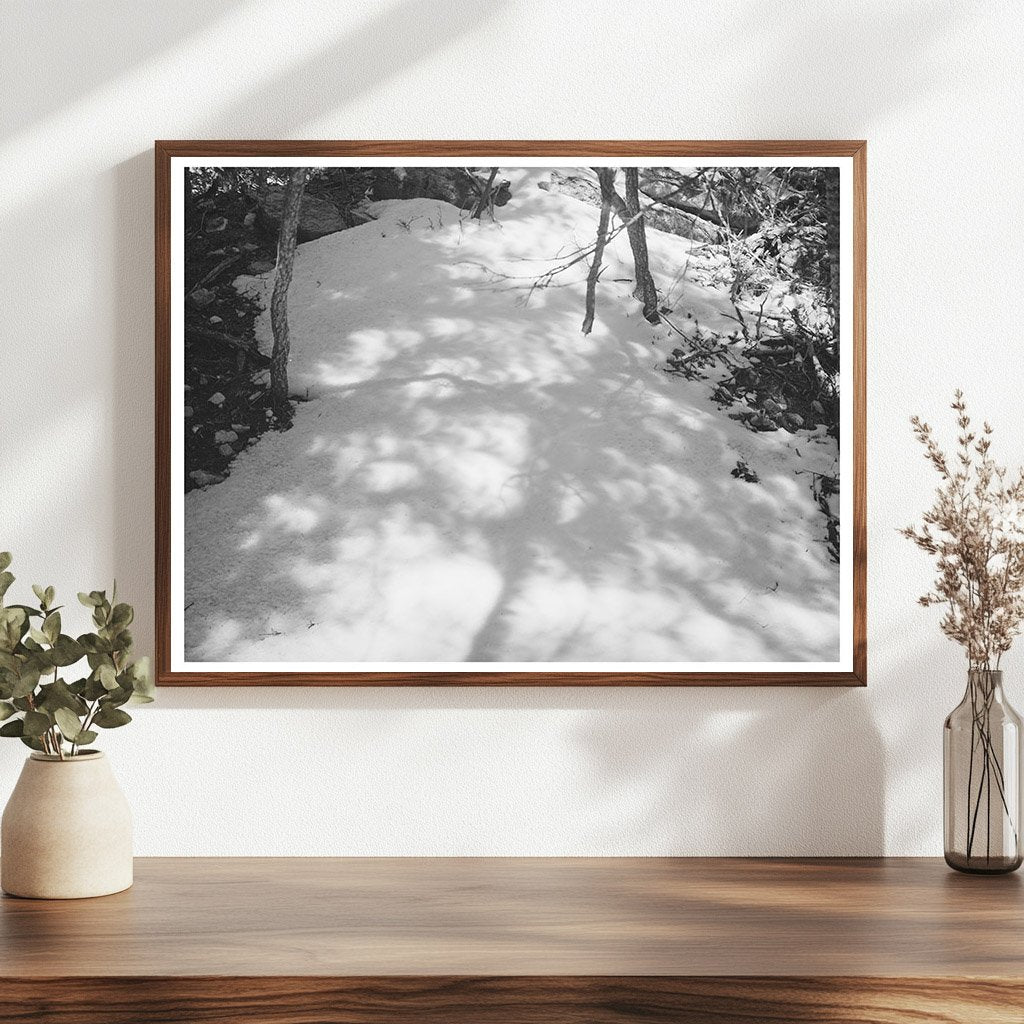 Eclipse Light and Shadow on Snow New Mexico April 1940