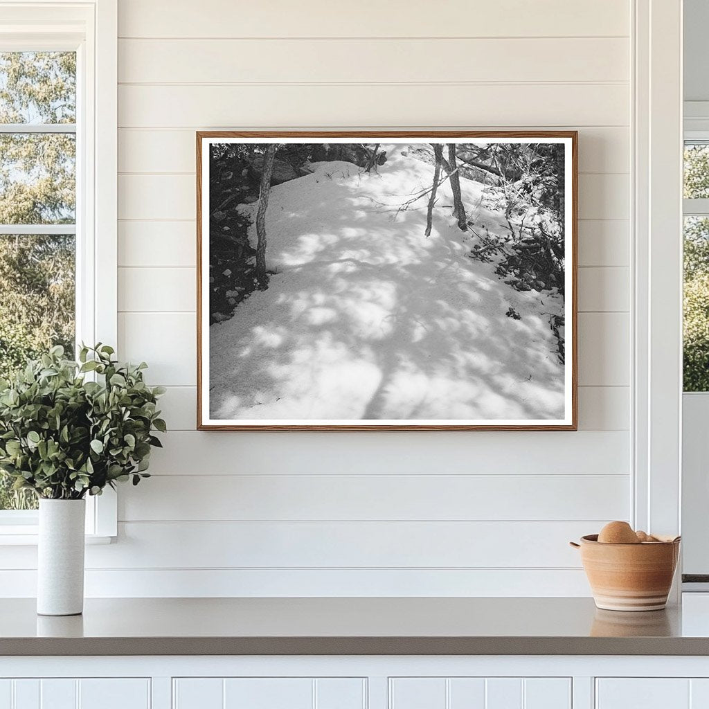 Eclipse Light and Shadow on Snow New Mexico April 1940