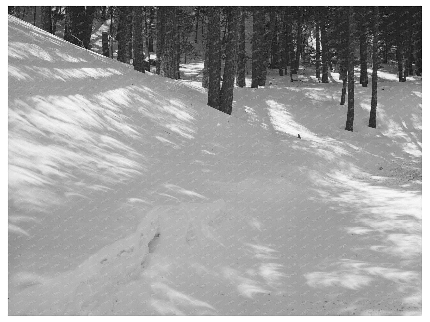 Winter Scene with Solar Eclipse Bernalillo County 1940