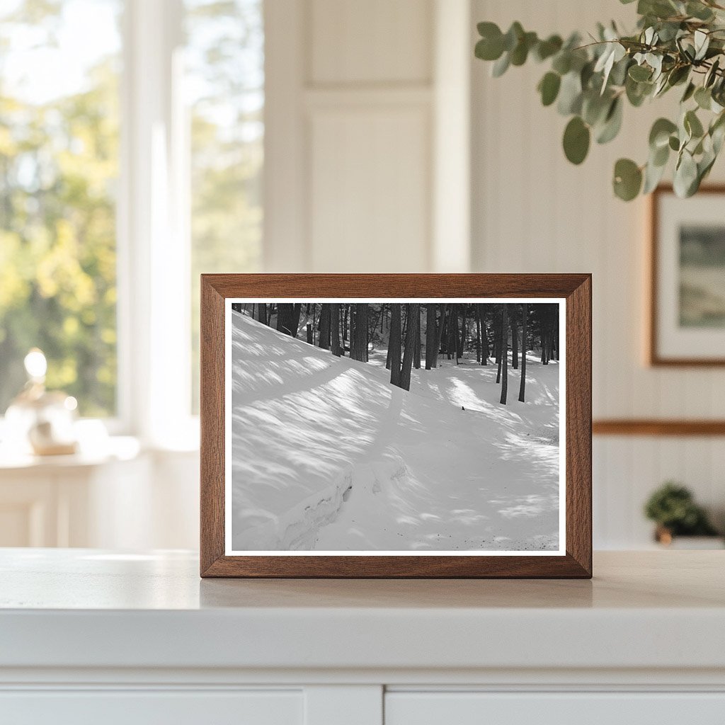 Crescent Light Patches from 1940 Solar Eclipse in New Mexico