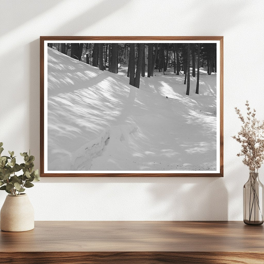 Crescent Light Patches from 1940 Solar Eclipse in New Mexico