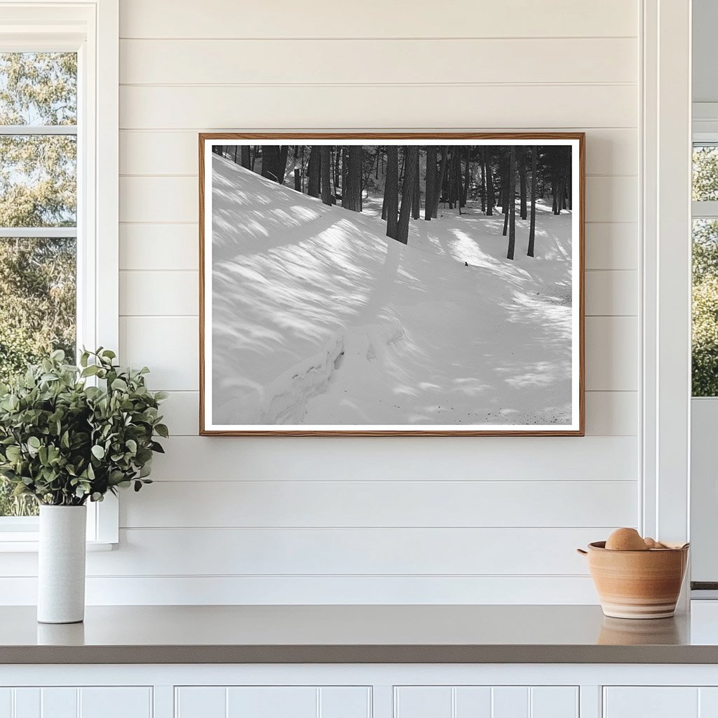 Crescent Light Patches from 1940 Solar Eclipse in New Mexico