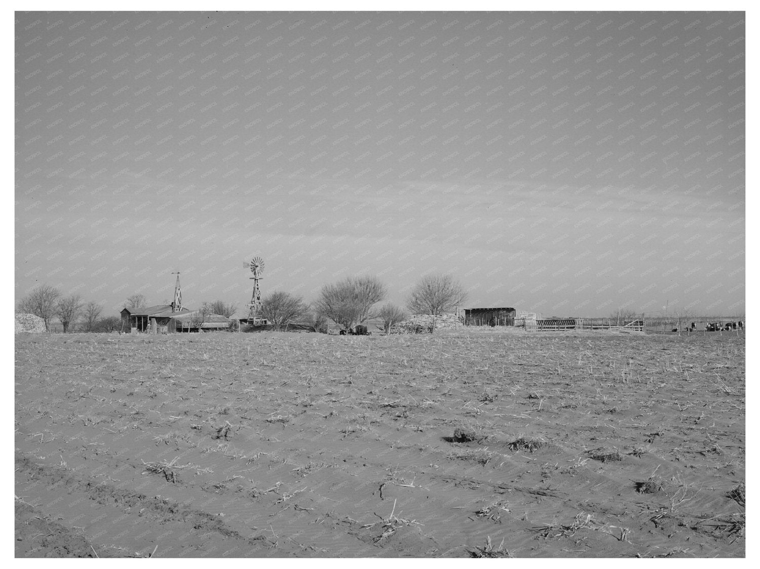 Dawson County Texas Farmstead March 1940 Image