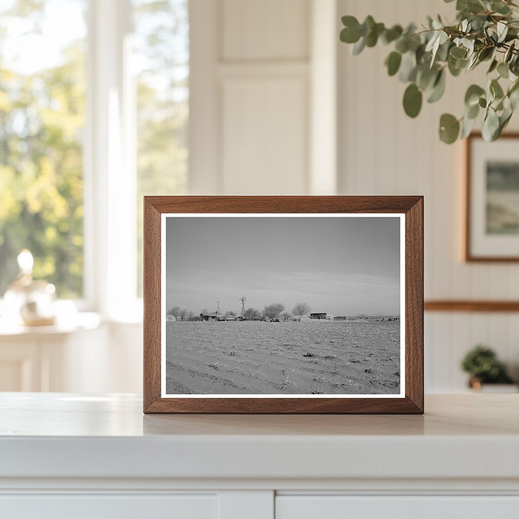 Dawson County Texas Farmstead March 1940 Image