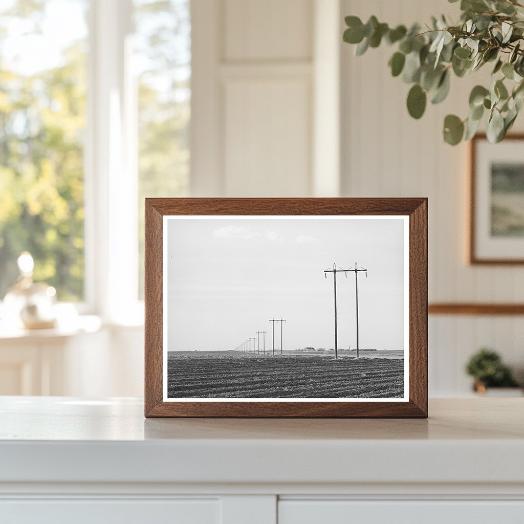 Power Lines Along Highway Dawson County Texas 1940