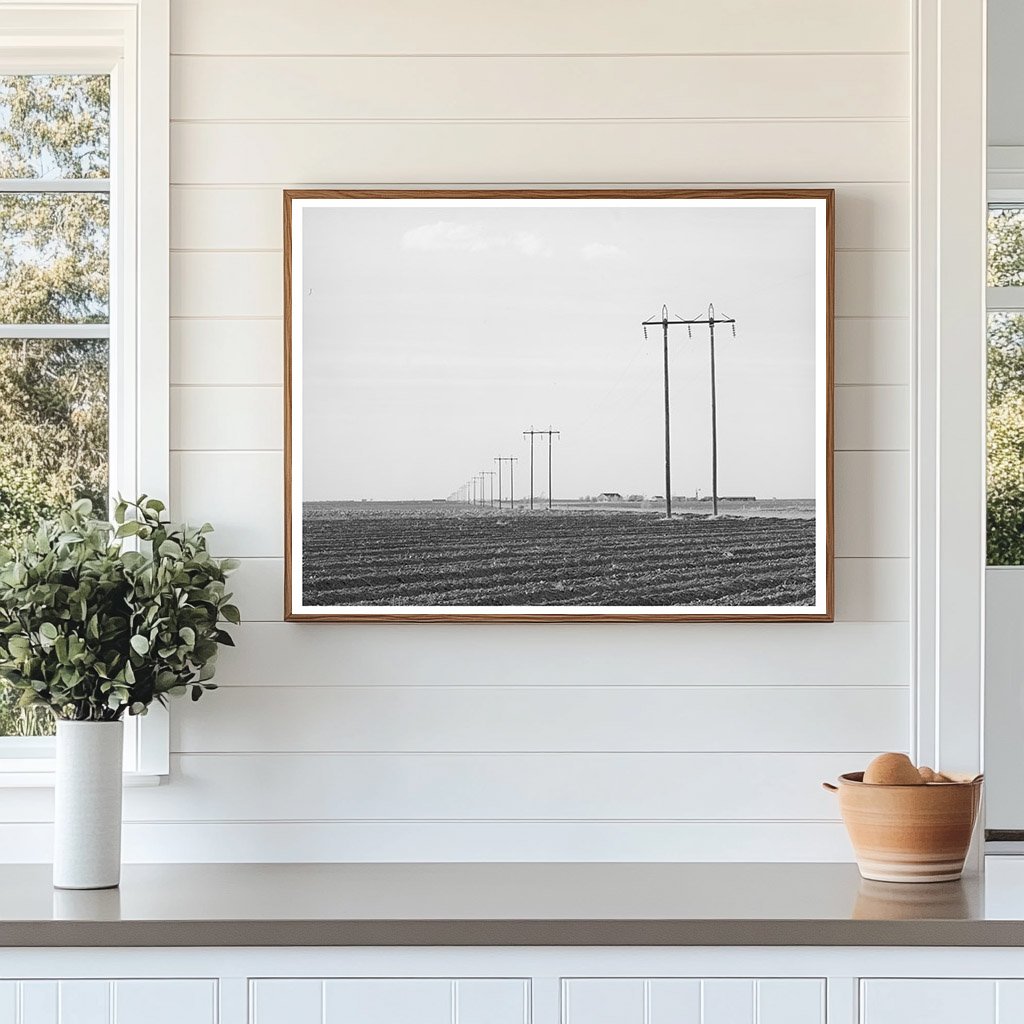 Power Lines Along Highway Dawson County Texas 1940