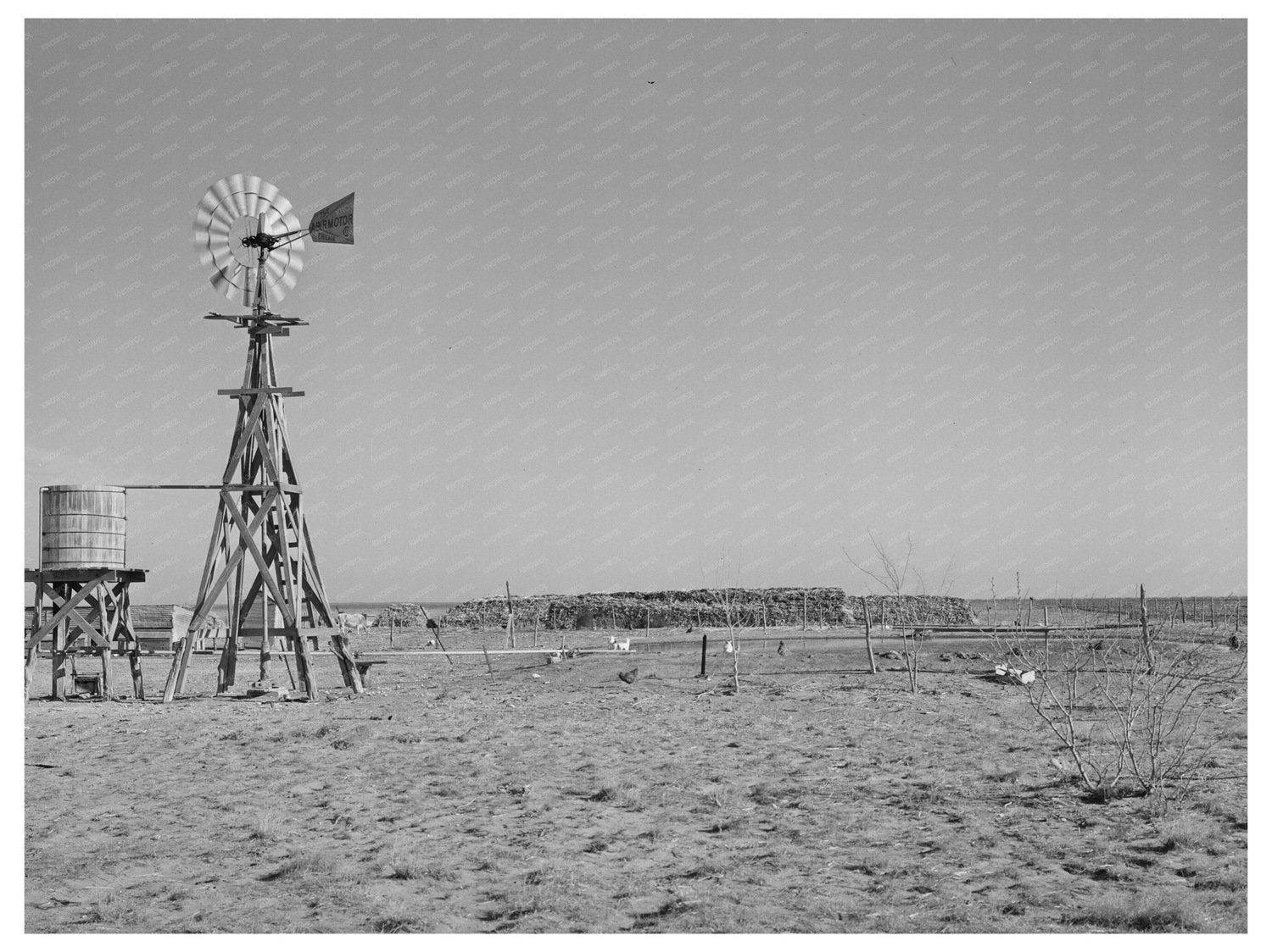 Vintage Windmill on Texas Farmstead March 1940