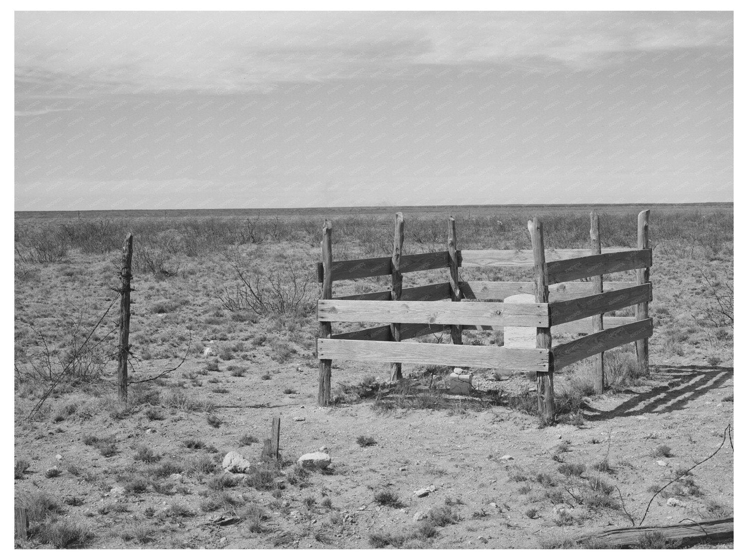 Solitary Grave on High Plains Dawson County Texas 1940