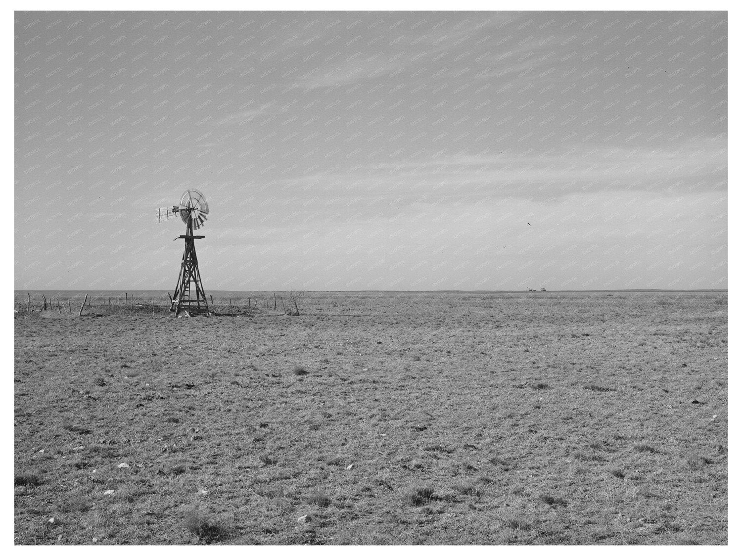 Vintage Windmill Farmstead Gaines County Texas March 1940