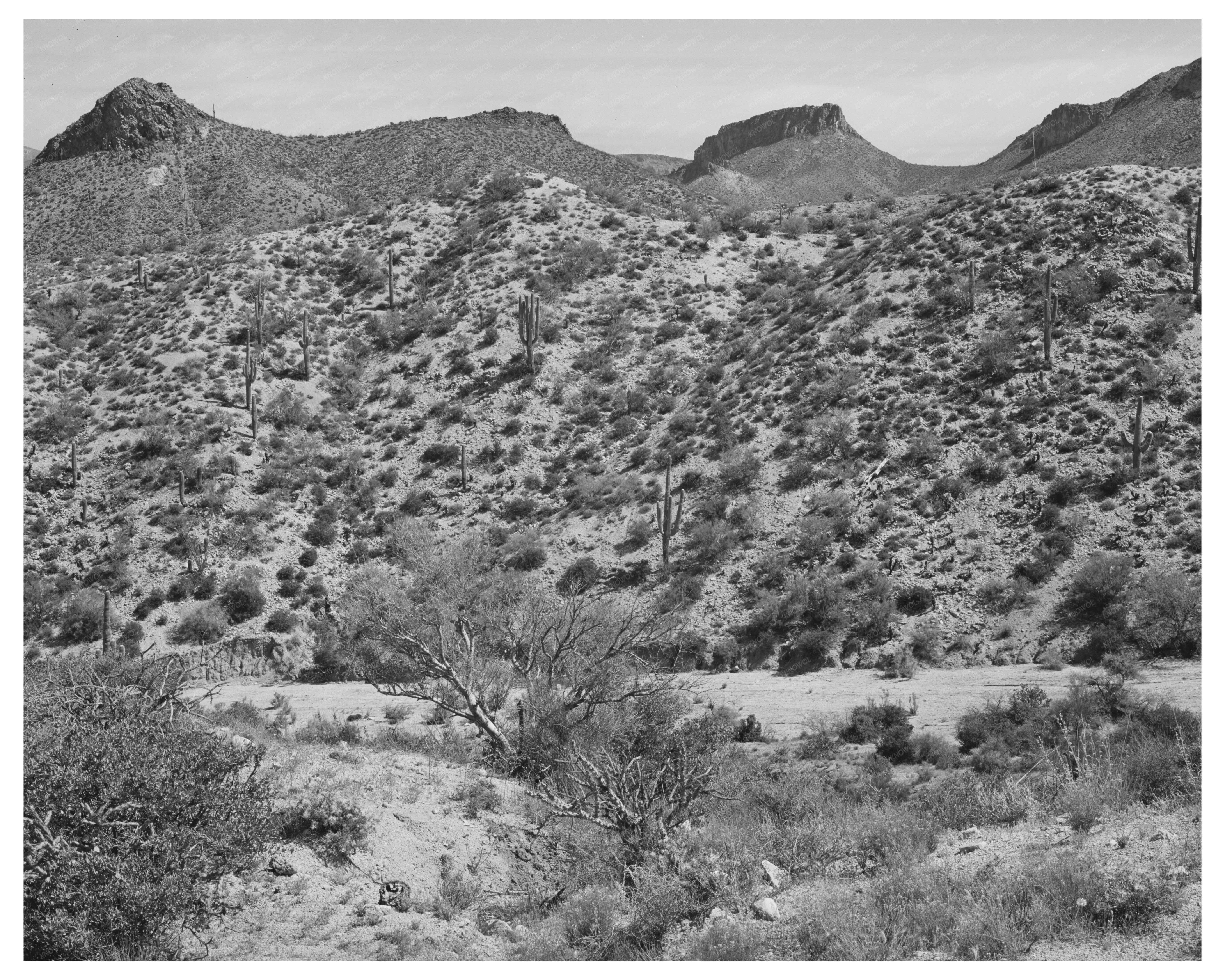 Apache Trail Gila County Arizona Vintage Photo 1940