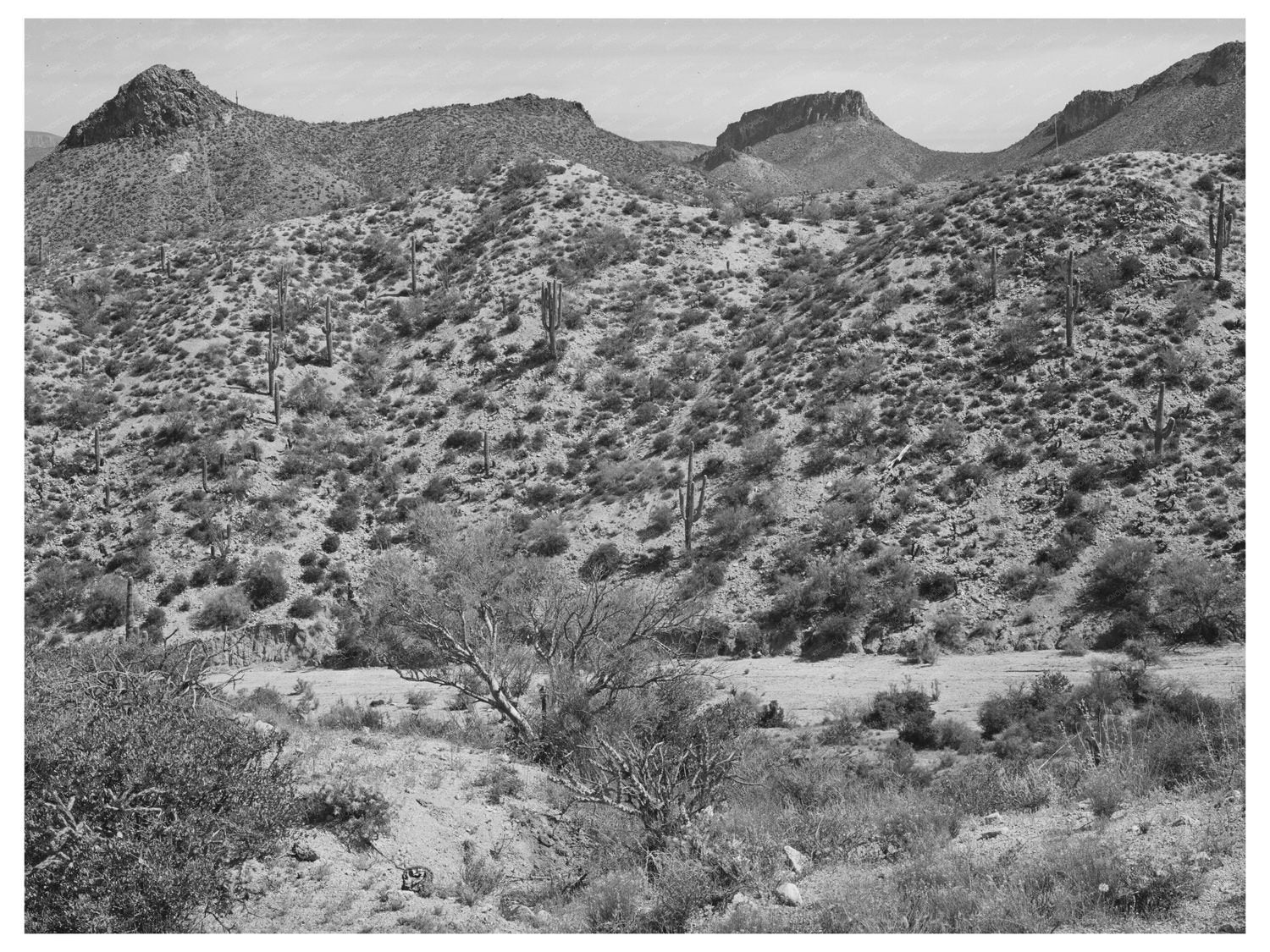 Apache Trail Gila County Arizona Vintage Photo April 1940