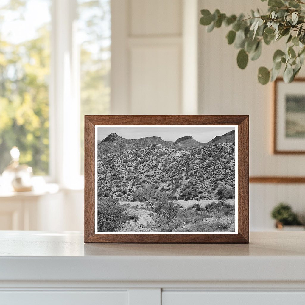 Apache Trail Gila County Arizona Vintage Photo April 1940