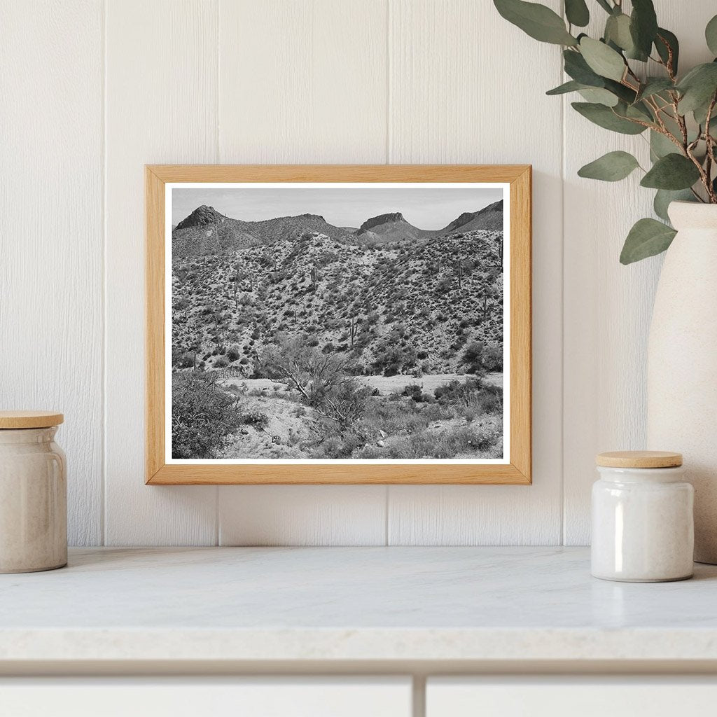 Apache Trail Gila County Arizona Vintage Photo 1940