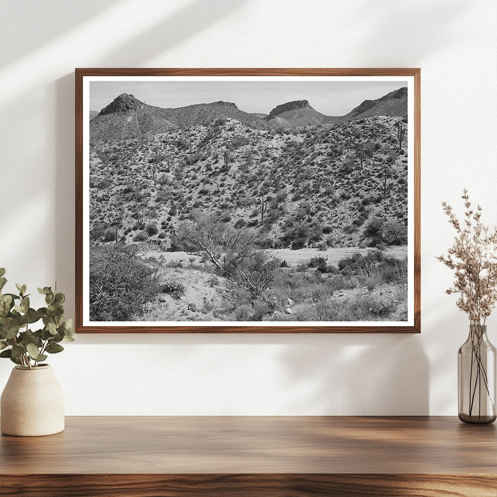 Apache Trail Gila County Arizona Vintage Photo April 1940