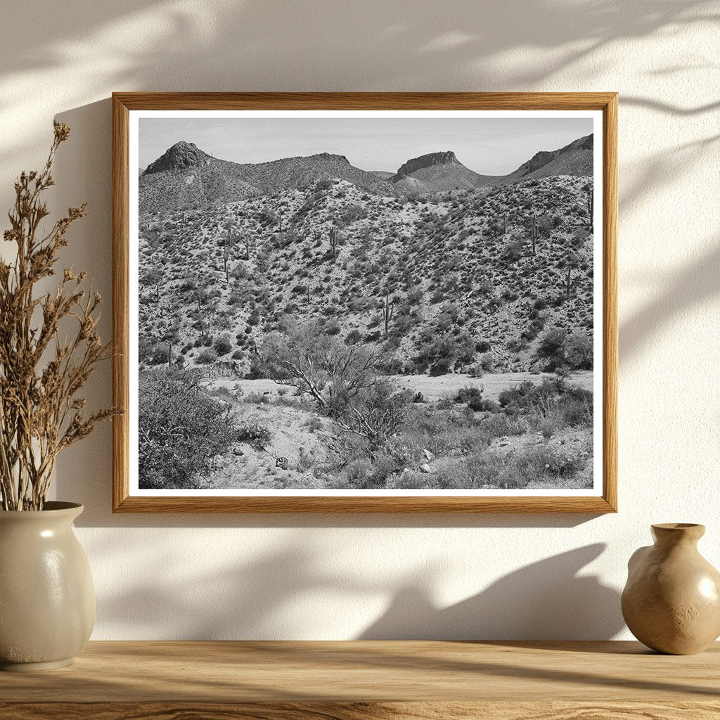 Apache Trail Gila County Arizona Vintage Photo 1940