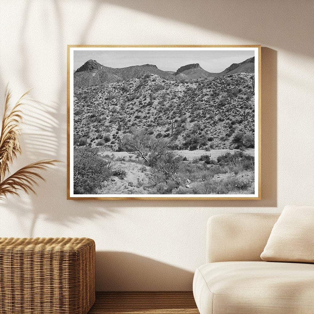 Apache Trail Gila County Arizona Vintage Photo 1940