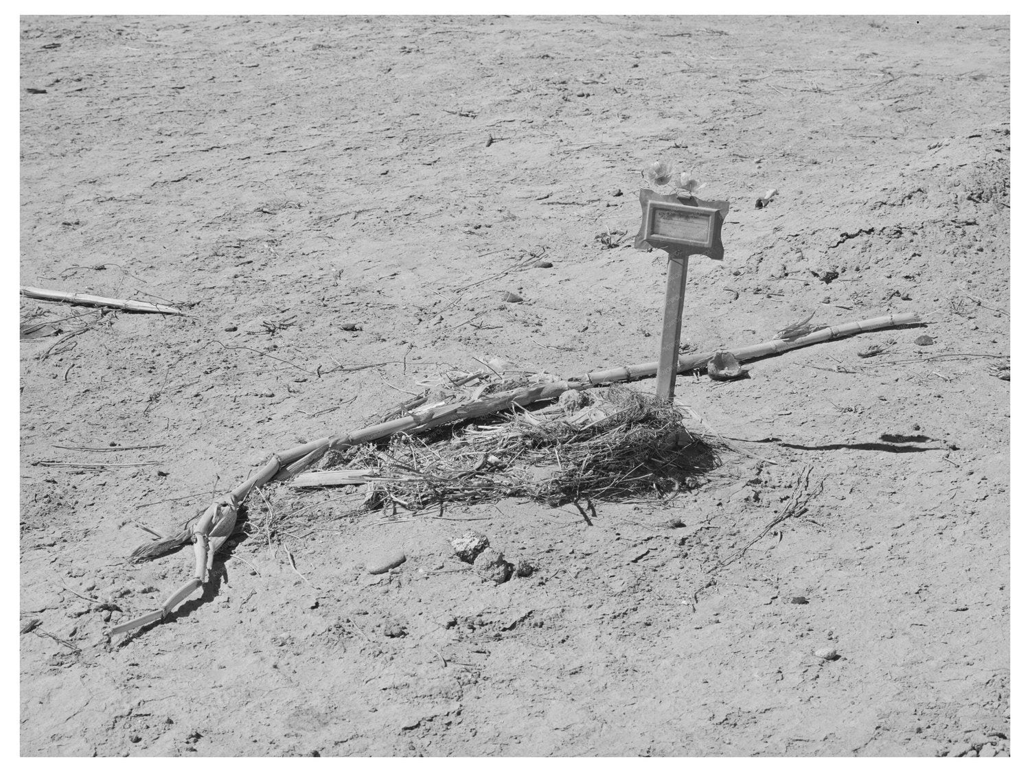 Vintage Grave in Bernalillo County New Mexico 1940