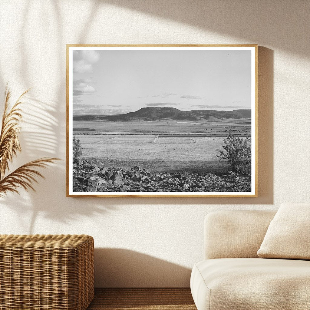 Valley of the Little Colorado River April 1940 Image