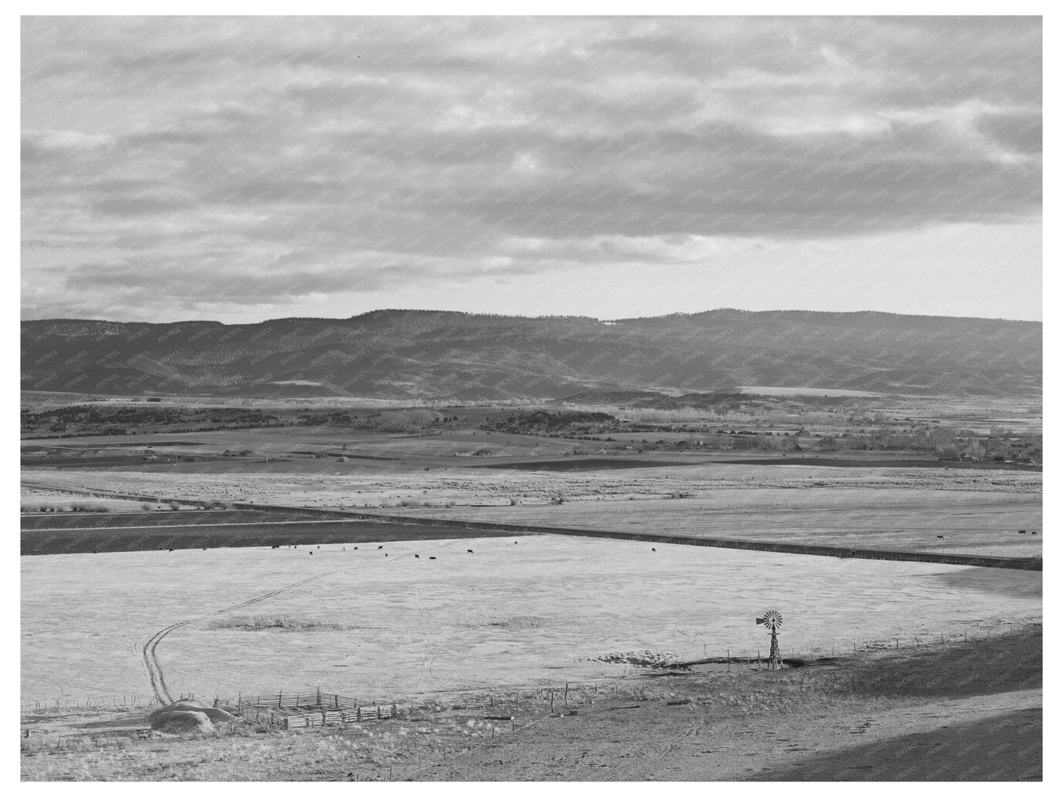 Valley of Little Colorado River Arizona Flood Irrigation 1940