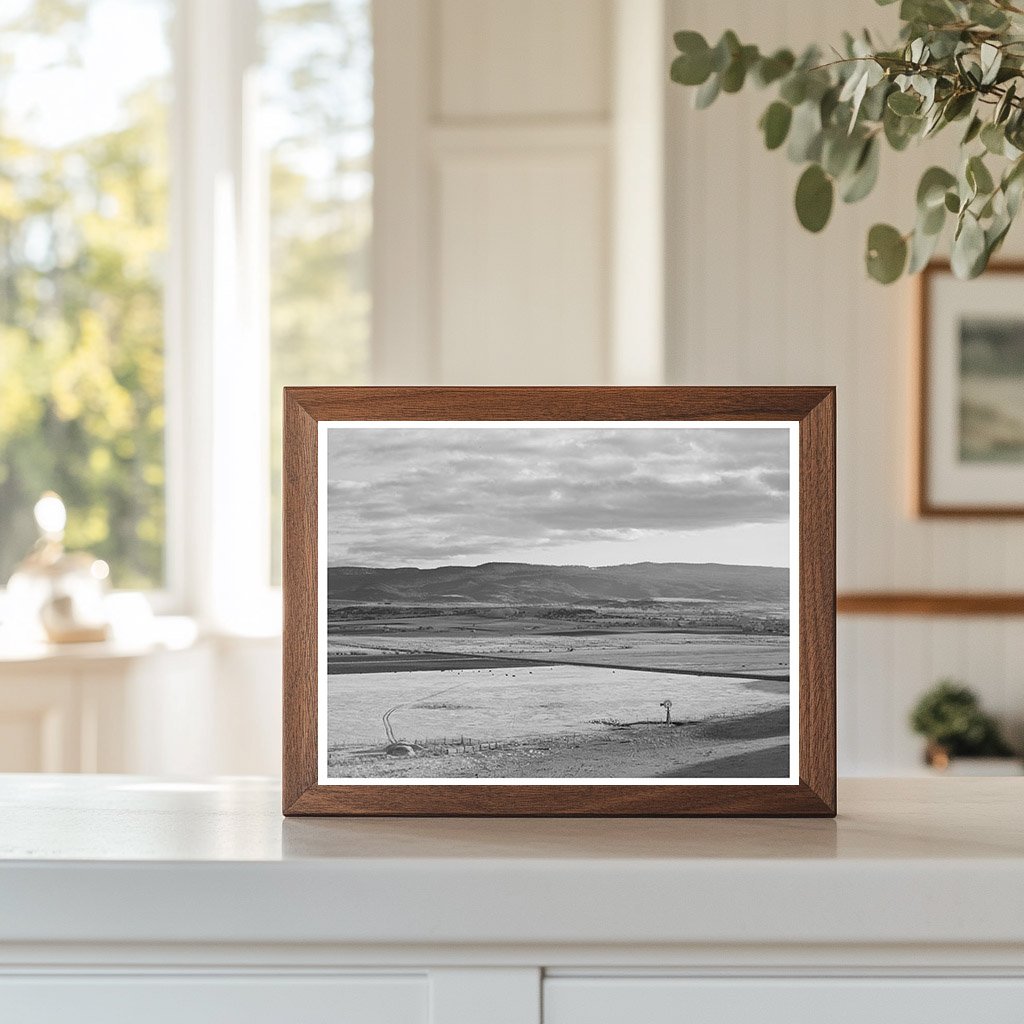Valley of Little Colorado River Arizona Flood Irrigation 1940