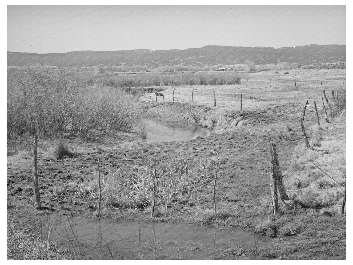 Little Colorado River Apache County Arizona April 1940