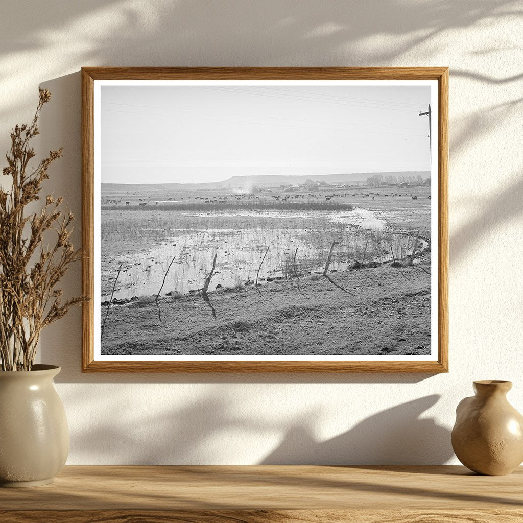 Flood Irrigation in Apache County Arizona April 1940