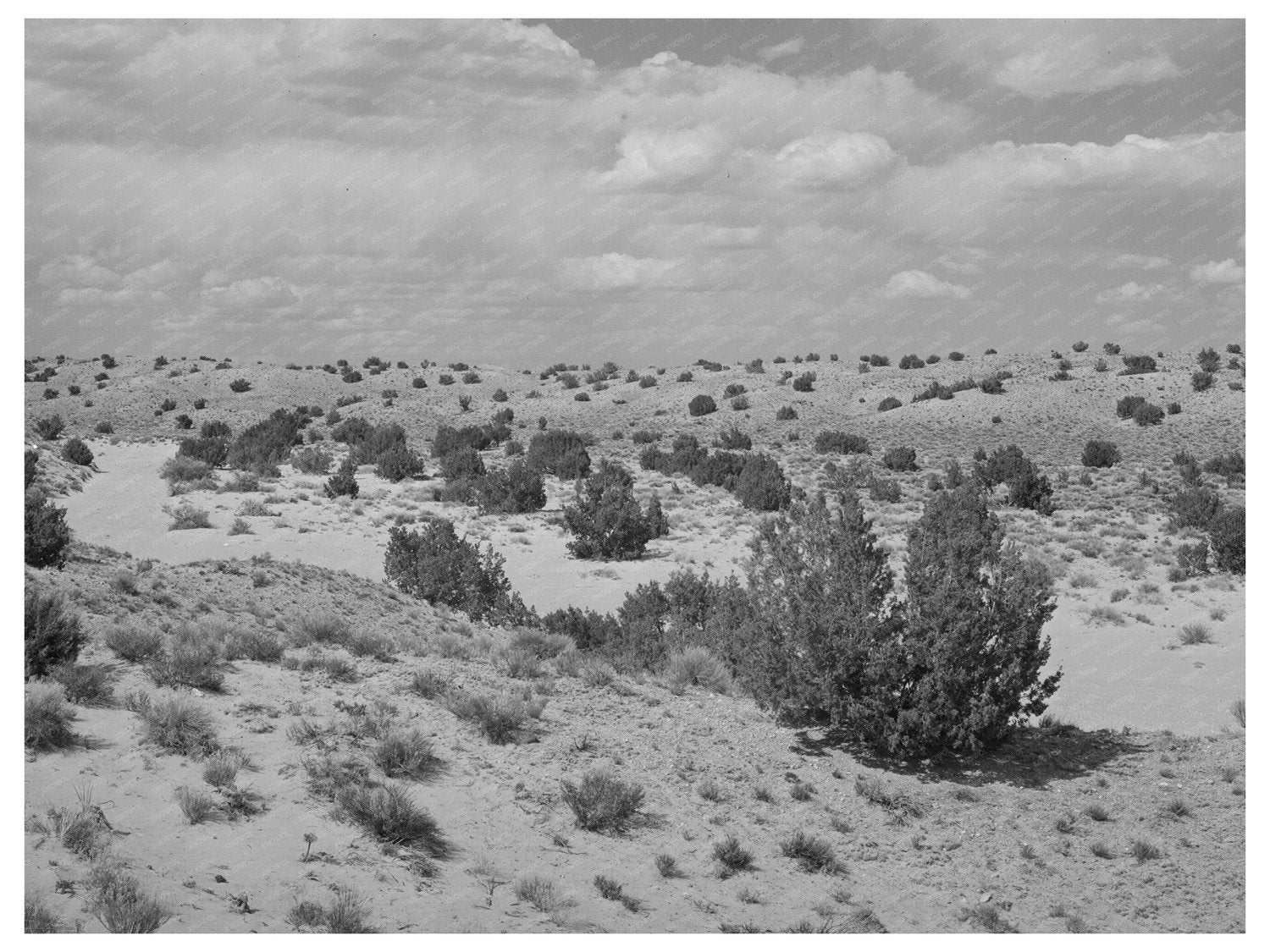 Vintage Dry Wash in Sandoval County New Mexico 1940