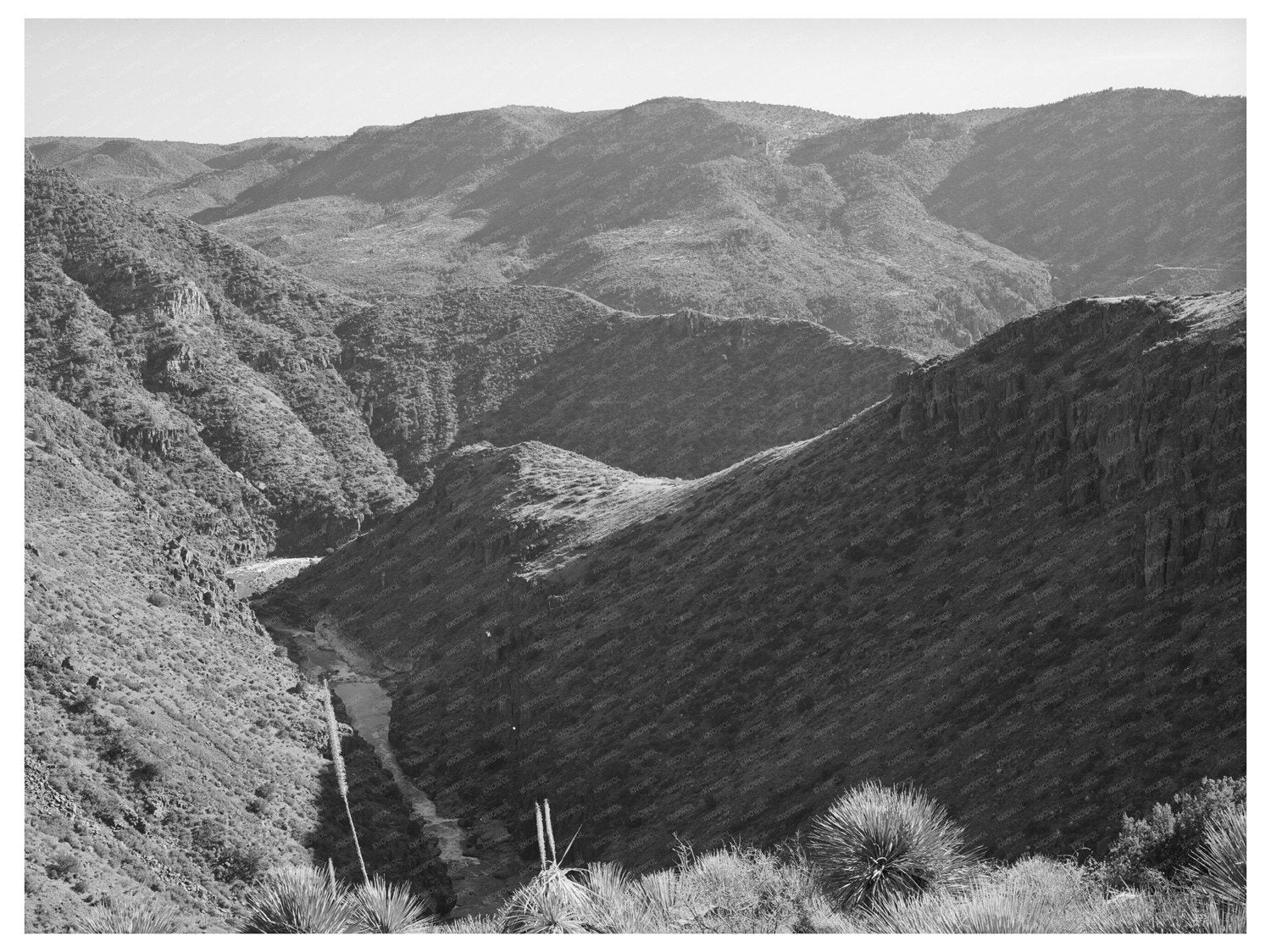 Canyon of the Black River Gila County Arizona 1940