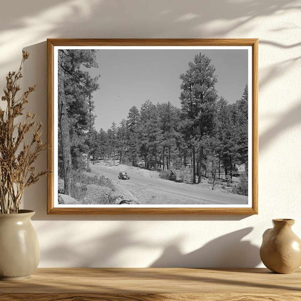 Apache National Forest Arizona April 1940 Vintage Photo
