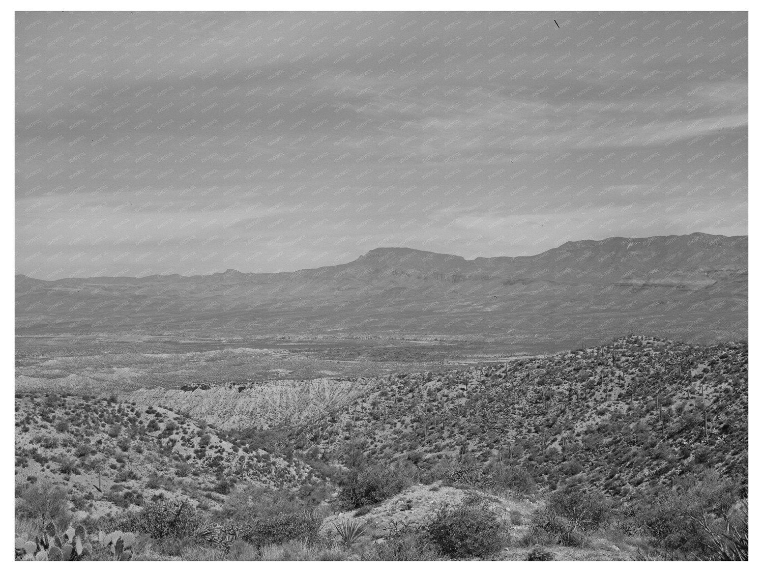 Desert Scene along Apache Trail Gila County Arizona 1940