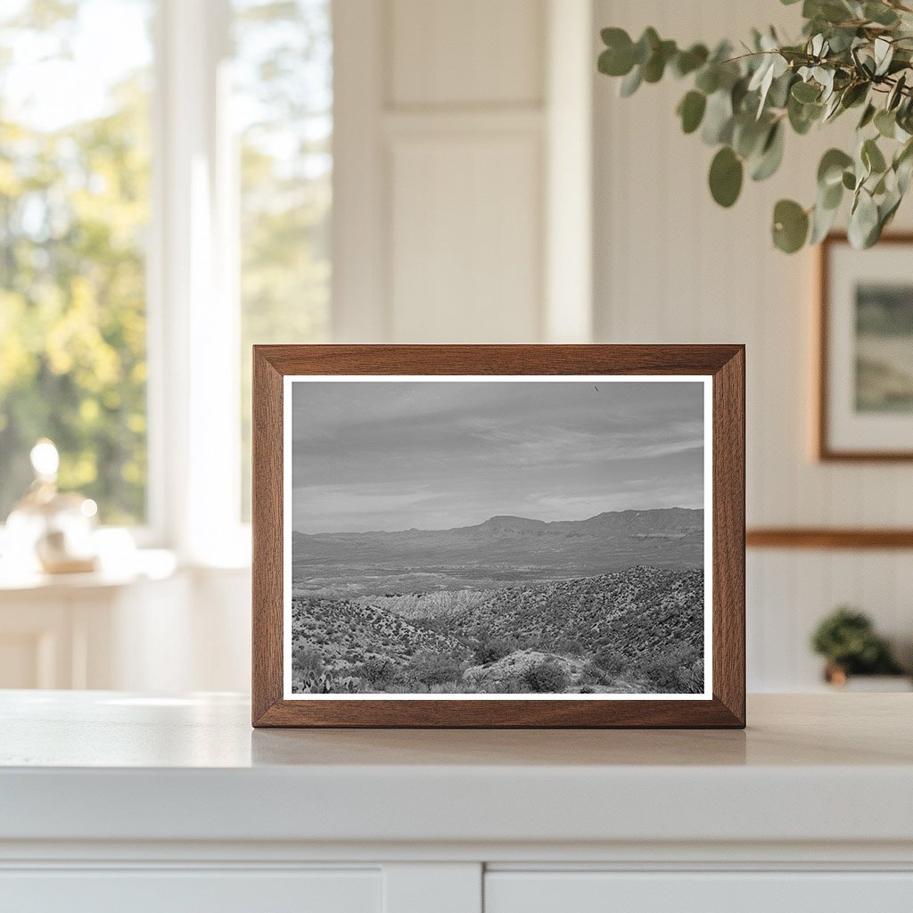 Desert Scene along Apache Trail Gila County Arizona 1940