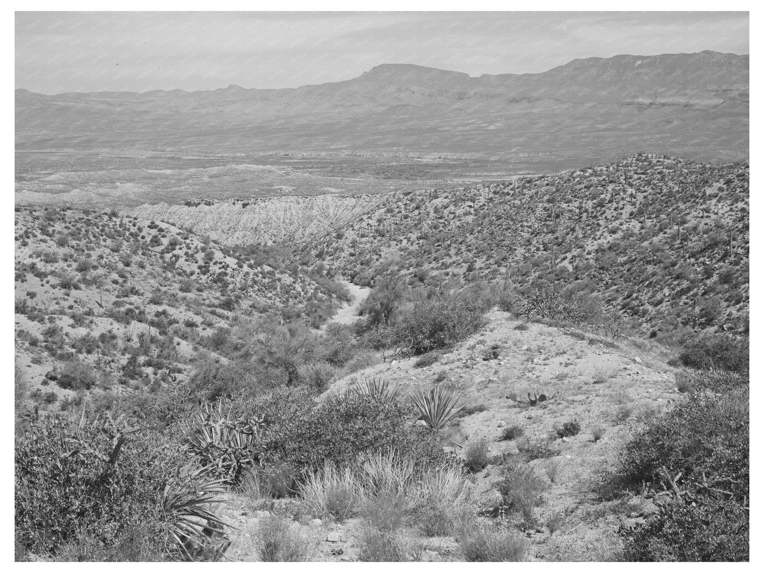 Desert Landscape along Apache Trail Gila County Arizona 1940